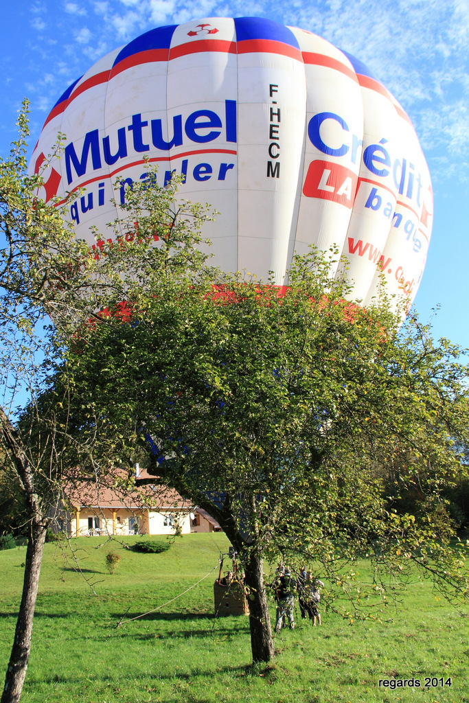 Trail Belfort 2014 Vescemont (90)